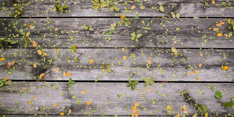 从家庭清洁到商业保洁：揭秘深圳高端会所如何打造极致卫生安全空间