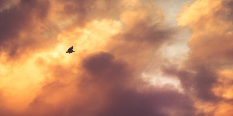 守护金融安全第一线:深圳银行网点高频接触面深度清洁消毒与形象维护全攻略