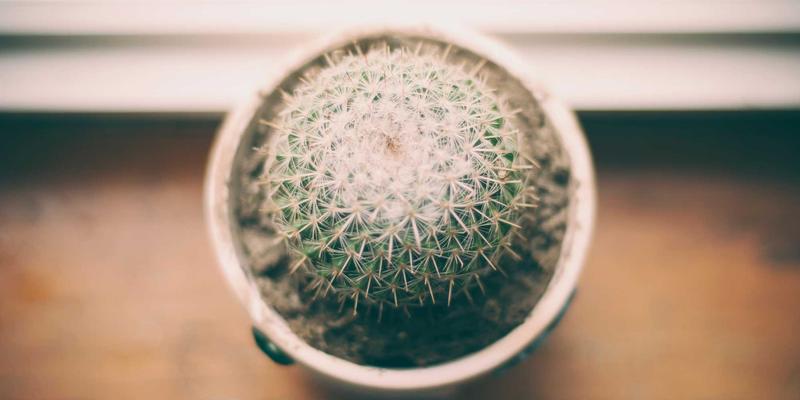 守护鹏城记忆：深圳博物馆与档案馆库房环境清洁的精密科学与专业实践