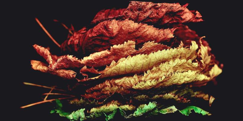 深圳制药厂GMP车间洁净室：从保洁用品选择到环境监测的合规性全攻略